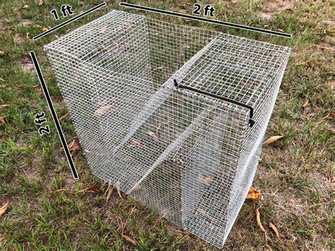 Fish Traps .